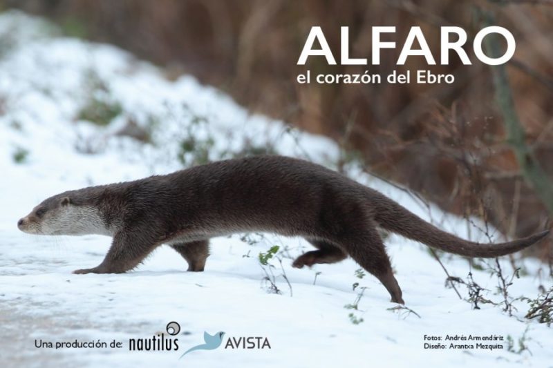 Documental Alfaro, El Corazón Del Ebro
